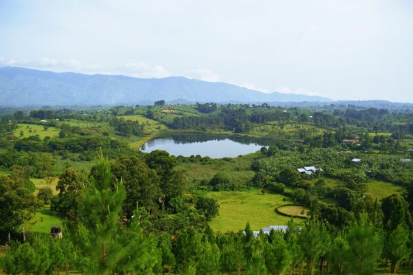 Mpanga Power Station Study — Uganda